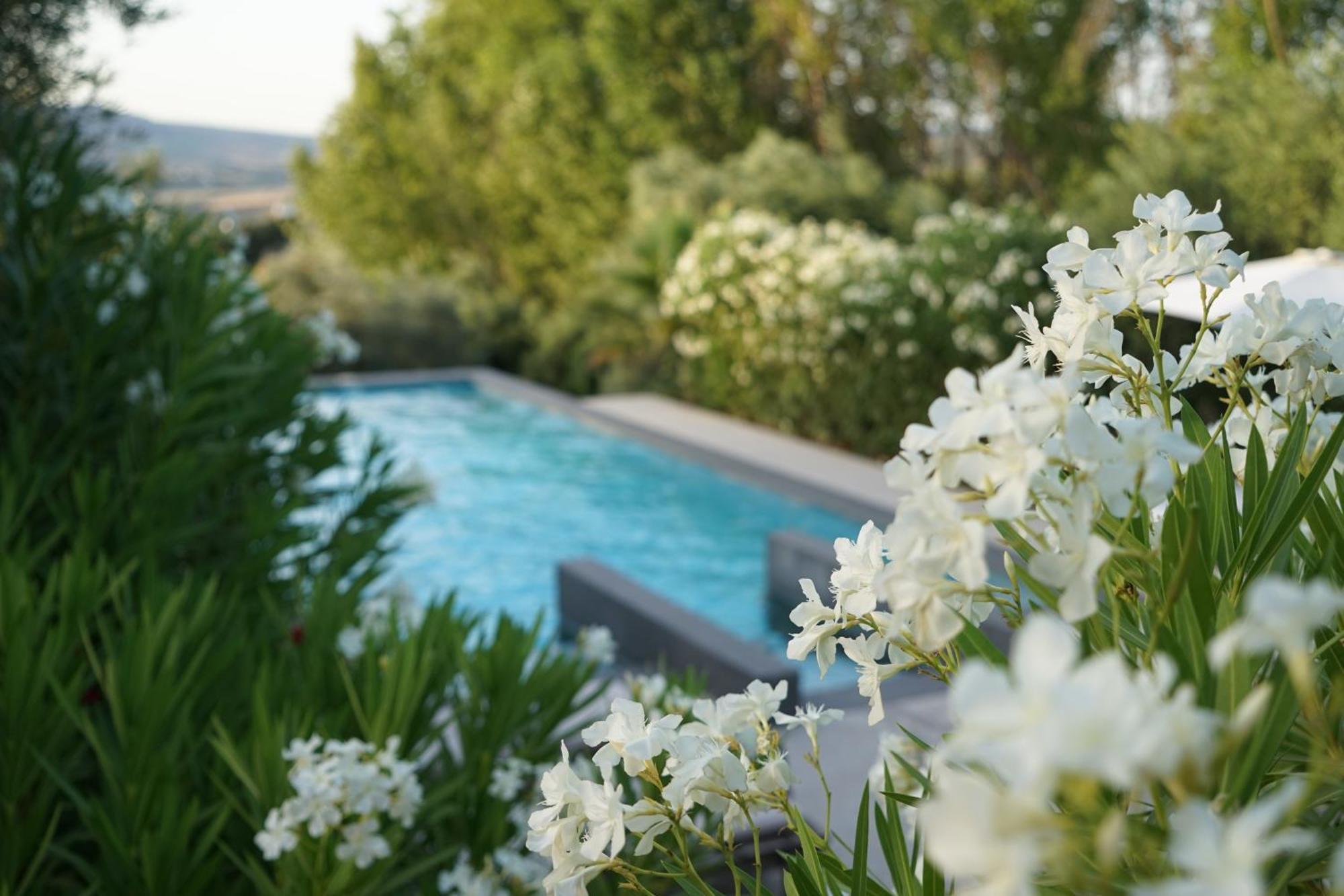 El Toro Blanco Luxury Villa In Andalucia Ronda Eksteriør bilde