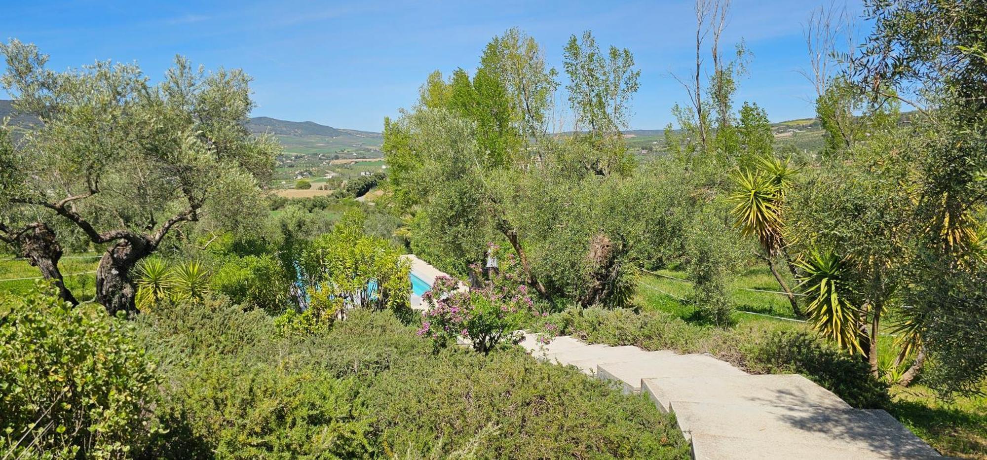 El Toro Blanco Luxury Villa In Andalucia Ronda Eksteriør bilde