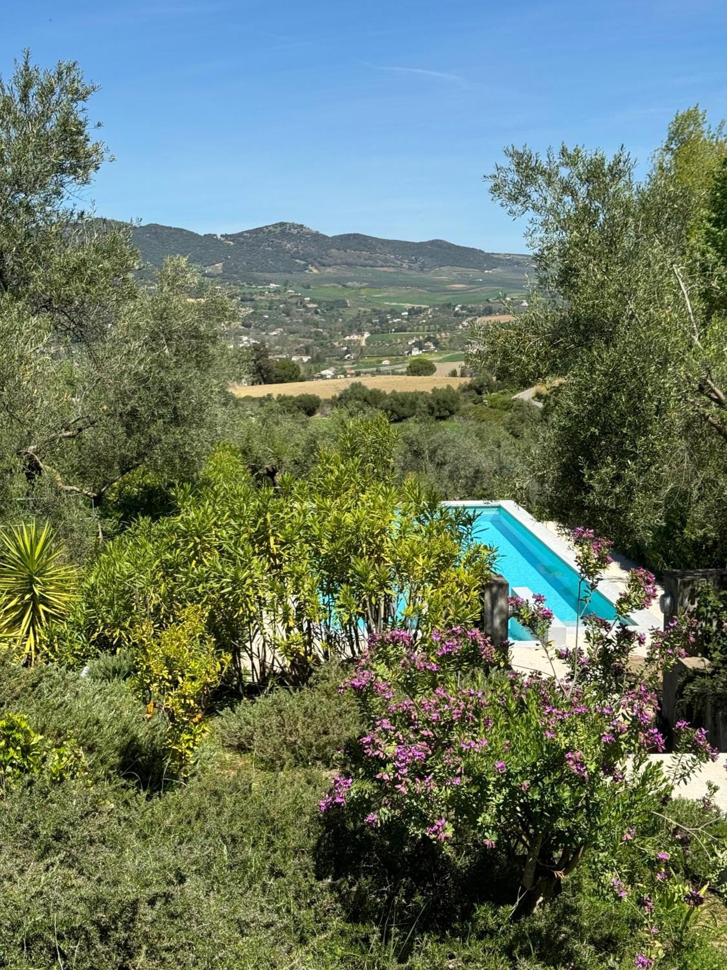 El Toro Blanco Luxury Villa In Andalucia Ronda Eksteriør bilde